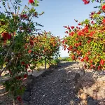 Casa Mira * אורוסיי